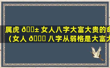 属虎 🐱 女人八字大富大贵的命（女人 🐅 八字从弱格是大富大贵吗）